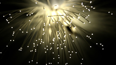 Optical fiber fibers