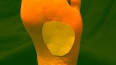 Orange foot high Food