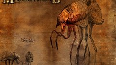 Orange the elder scrolls