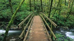 Oregon falls Parks veil