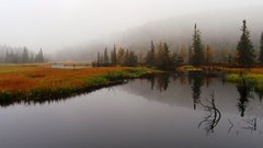 Oregon Lake nature forest