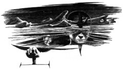 Original letopercieves This is