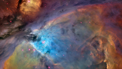 Orion nebula Space