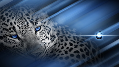 Os leopard inspired computer