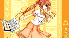 Os-tan compact disc wink