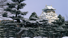Osaka mit schnee san