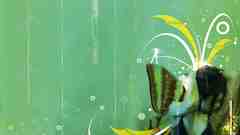 Oscillation by lilioum