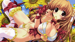 Oshiki hitoshi visual novels