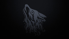 Other Wolves fiber Carbon stylish wulf betahouse