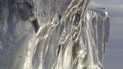 Out high needs chill Resolution