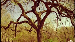 Out large This printed