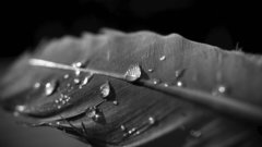 Out Other The looks thread like maxed