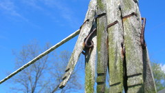 Outdoors decay moss clothespin