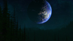Outer space forests Earth