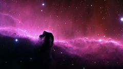 Outer space Horsehead Nebula