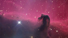 Outer space Horsehead Nebula