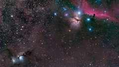 Outer space Horsehead Nebula