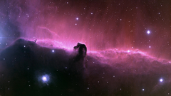 Outer space nebulae Horsehead