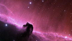 Outer space nebulae Horsehead