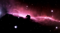 Outer space nebulae Horsehead