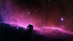 Outer space nebulae Horsehead
