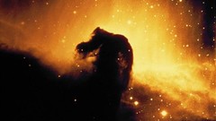 Outer space Orion Horsehead Nebula