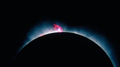 Outer space Solar eclipse seahorses