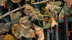 Outside Okay promised someone