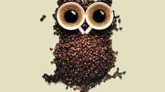 Owl beverage humor coffee