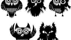 Owl please crazy walls high Owls Resolution