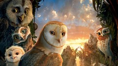 Owls Legend Of The Guardians