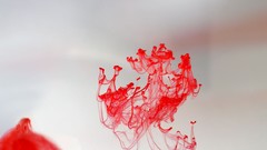 Paint abstract liquid artwork Water Colors