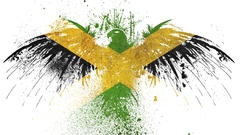 Paint hawk Jamaica