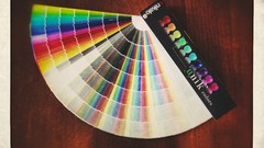 Paint Shade colors grunge flare multicolor charts painters 