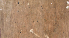 Paint spots nature Wood