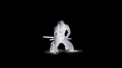 Paint The colors and just Invert