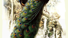 Painting Art indian Peafowl