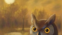 Paintings artistic Birds Owls