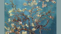 Paintings blossoms Vincent van
