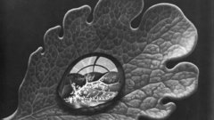 Paintings grayscale MC Escher