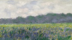 Paintings impressionism Irises fields Claude Monet Giverny