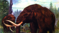 Paintings mastodon Zdenek Burian