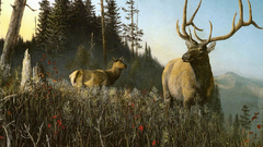 Paintings nature wildlife elk