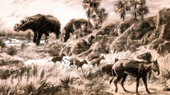 Paintings prehistoric monochrome illustrations