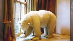 Paintings surrealism Polar Bears