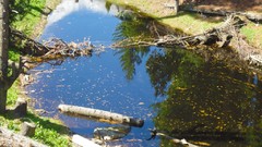 Pakistan nanga parbat Fairy Meadows