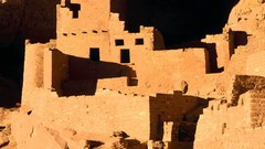 Palace cliffs creeper Verde