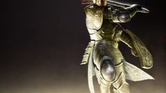 Paladin Armored warrior attack