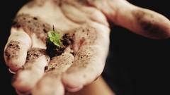 Palm hands sprouts mud