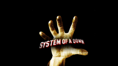Palm hands system of